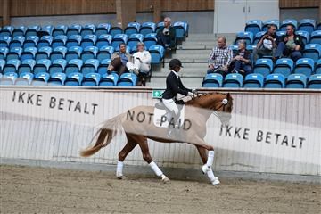 181887_mtp_04_R62_8232.JPG