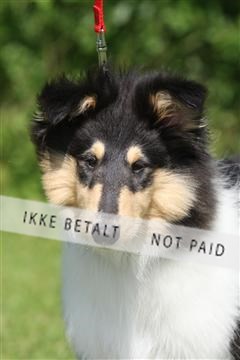 130370_se_02_IMG_6005.JPG