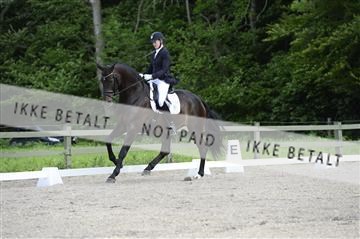 139898_ms_02__MS28468.JPG