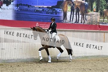 182241_kbb_01_Z095287.JPG