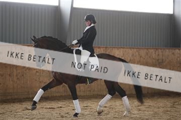 139206_kl_1_8M1Q5439.JPG