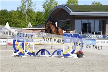 181436_avh_02_3752.JPG