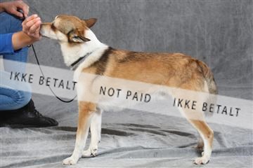 130054_le_ 03_0248.JPG