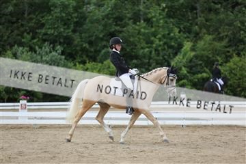 156196_nn_01_IMG_6451.JPG