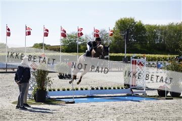 181332_kbb_01_6II4364.JPG