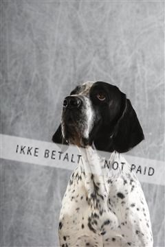 129608_le_ 02_0171.JPG