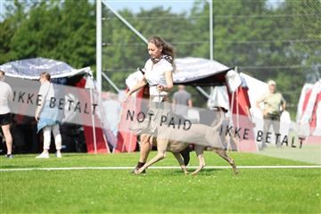181564_rin_01_R62_7599.JPG
