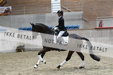 182241_kbb_01_Z094625.JPG