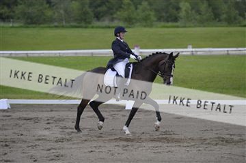 140040_abo_01__AB17575.JPG