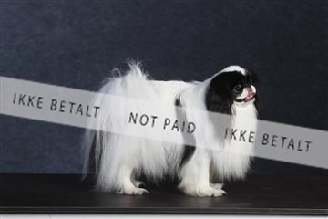 132082_le_ 01_IMG_0695.JPG