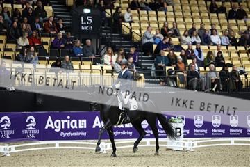 182194_mlm_02_R62_0639.JPG