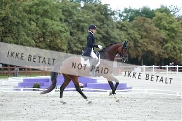 181923_mtp_01_R62_6613.JPG