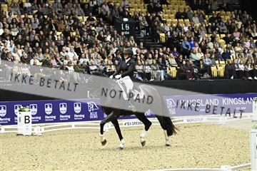 182194_kbb_03_Z092461.JPG