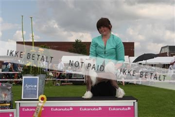 130370_le_02_IMG_8523.JPG