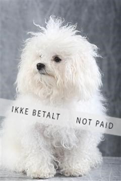 129608_le_ 01_0048.JPG