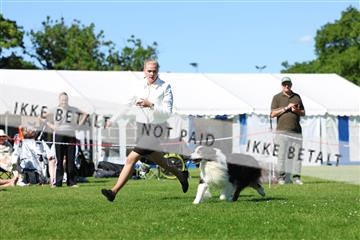 181564_rin_03_R62_9689.JPG