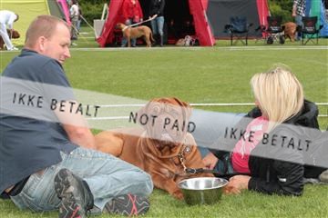 135379_tl_01_IMG_8720.JPG