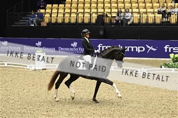 182194_kbb_03_Z091065.JPG