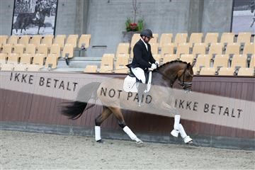 181852_mtp_03_R62_2271.JPG