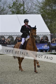 139644_abo_07__AB15753.JPG