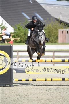 169152_abo_01_D05_0542.JPG