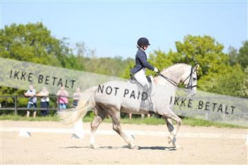 168732_mtp_01_3M5A8421.JPG