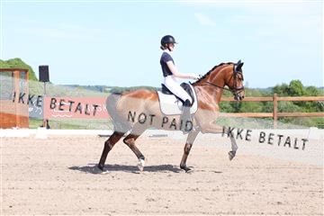 181449_bc_01R62_5915.JPG