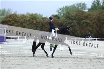 181923_mtp_01_R62_6552.JPG