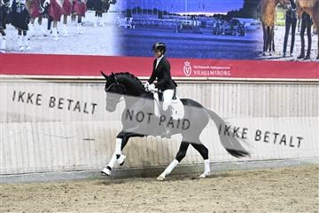 182241_kbb_01_Z093951.JPG