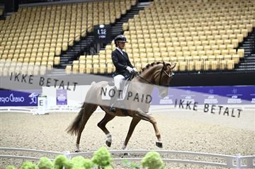 182194_kbb_02_Z097596.JPG