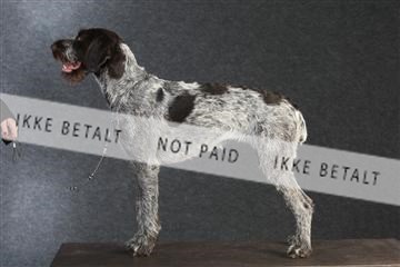 132082_le_ 01_IMG_0512.JPG