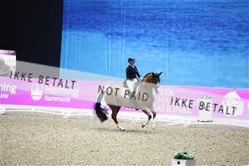 182194_avh_05_2929.JPG