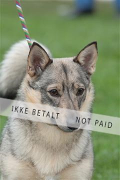 124188 _tl_02_IMG_9168.JPG