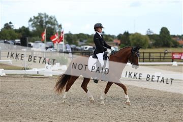 181894_mtp_03_R62_2874.JPG