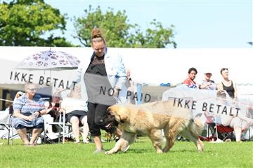 181564_rin_02_R62_3123.JPG