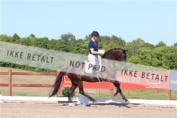 181449_bc_01R62_6270.JPG