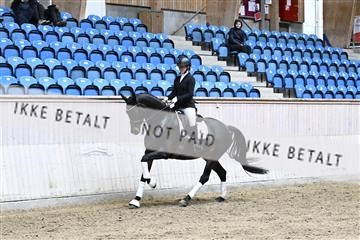 182241_kbb_01_Z094294.JPG
