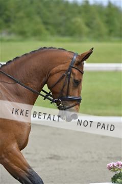 140040_abo_01__AB16878.JPG