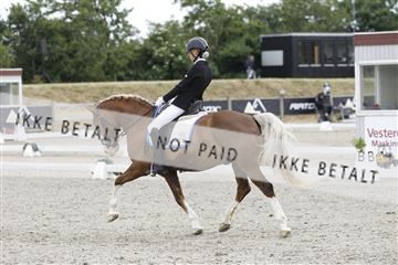 166078_rhj_01__J7R2722.JPG