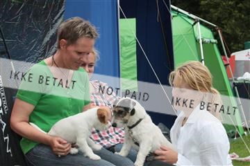 130370_tl_01_IMG_7082.JPG