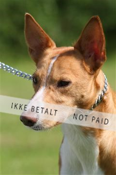130370_se_03_IMG_6890.JPG