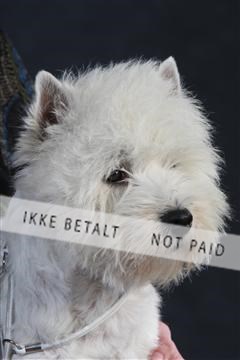 132082_le_ 01_IMG_1506.JPG