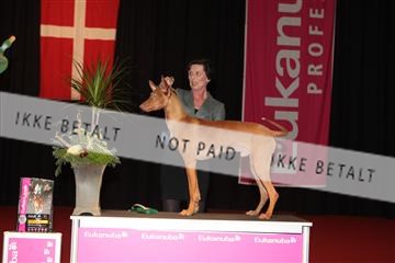 126827_tl_02_IMG_3011.JPG