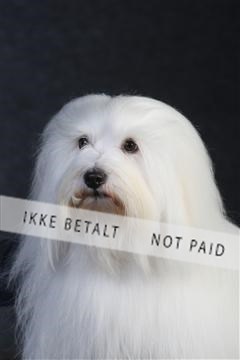 132082_le_ 01_IMG_0399.JPG