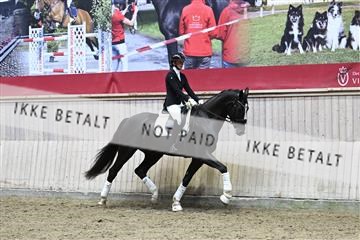 182241_kbb_01_Z093451.JPG