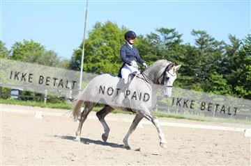 168732_mtp_01_3M5A8408.JPG