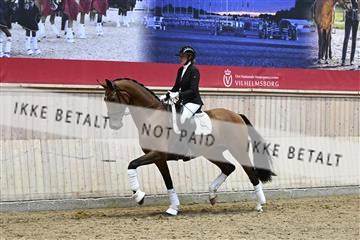 182241_kbb_01_Z095300.JPG