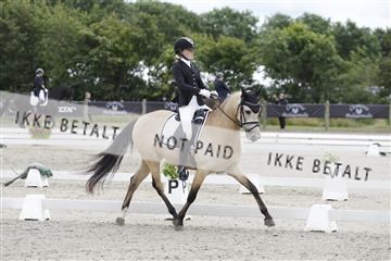166078_rhj_01__J7R2554.JPG