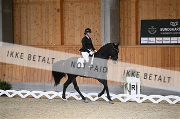 182176_kbb_01_Z093492.JPG