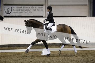 141472_abo_01__AB15963.JPG